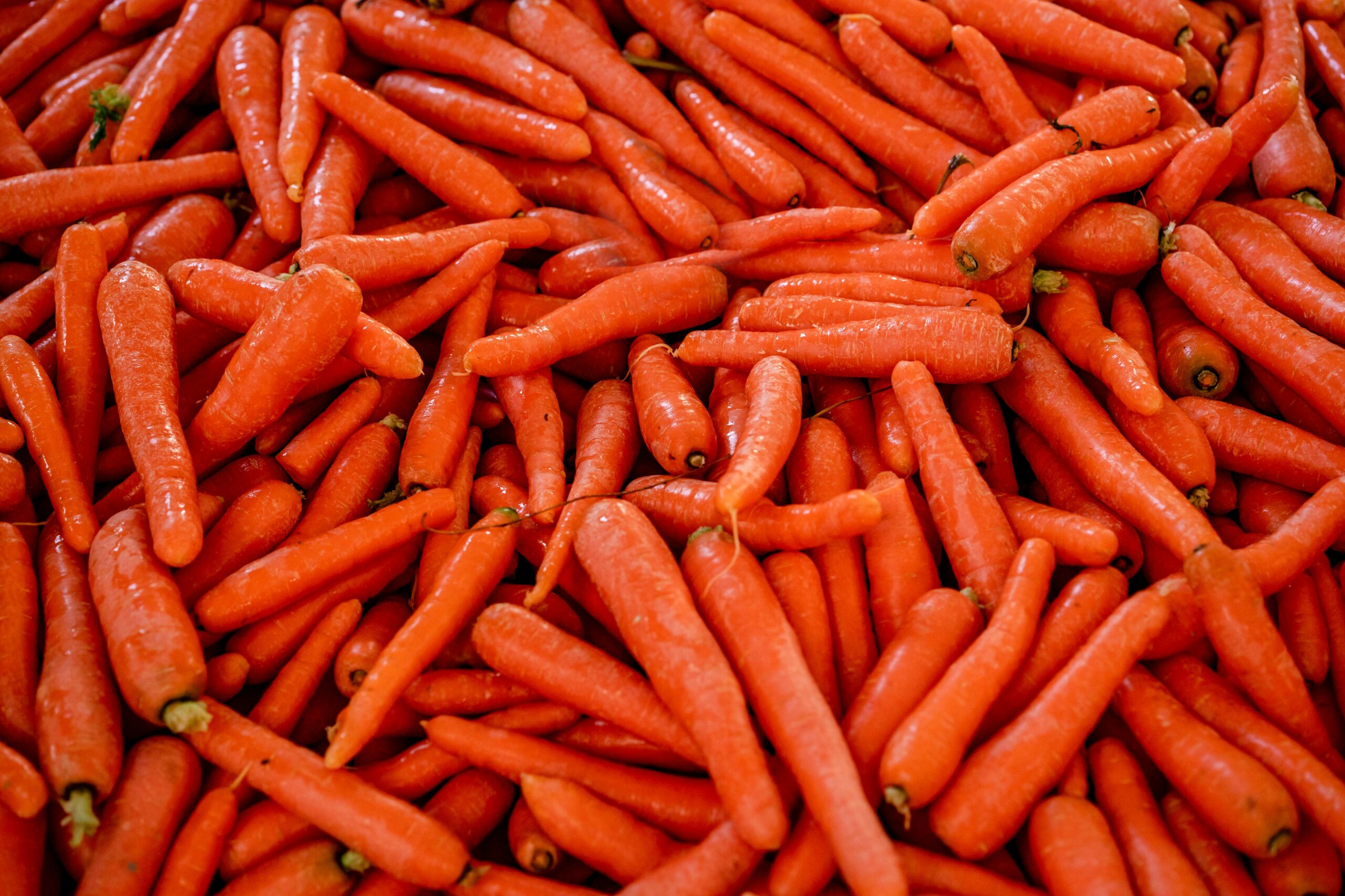 Carrots For Weight Loss