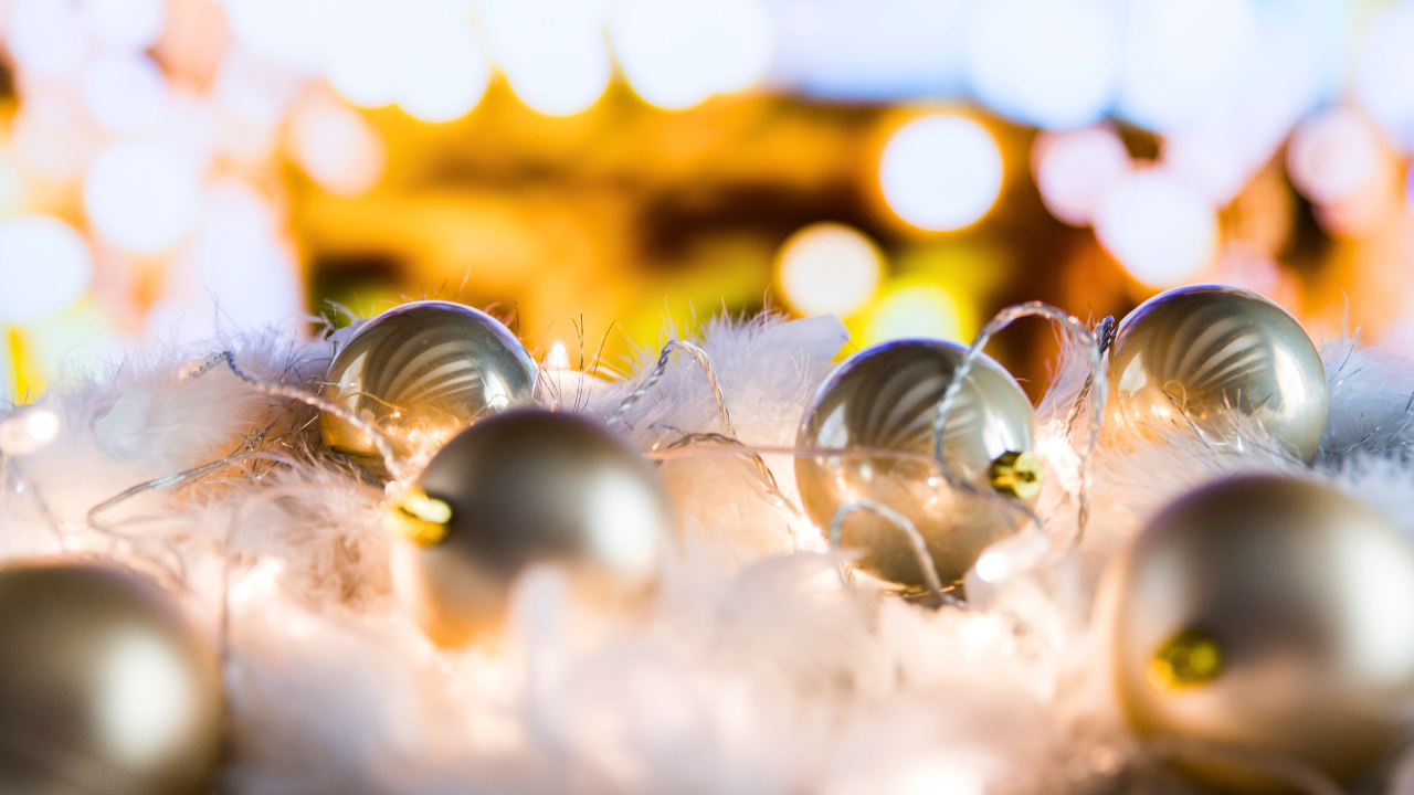 Best Christmas Recipes for Vegetarians